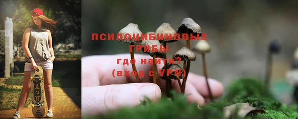 МДПВ Пестово
