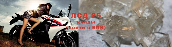 прущий лед Алзамай