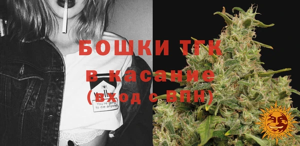 прущий лед Алзамай