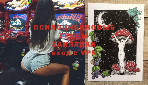 прущий лед Алзамай