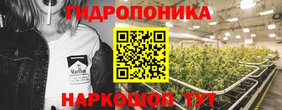 ГАЛЛЮЦИНОГЕННЫЕ ГРИБЫ Нальчик