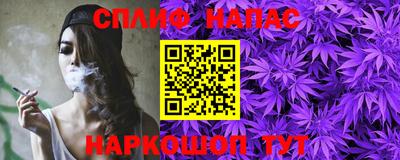 гашик Нарткала