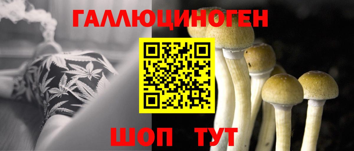 Урай  Псилоцибиновые грибы GOLDEN TEACHER  Вход с VPN 